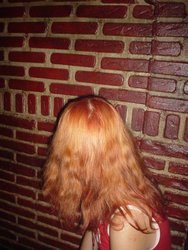DSC02527