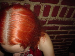 DSC02550