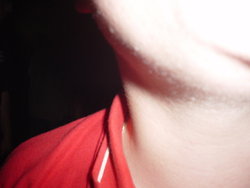DSC02560