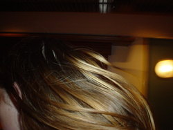 DSC02683