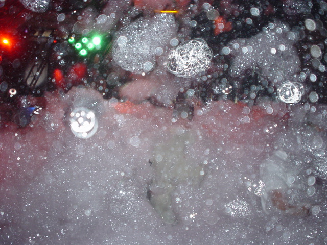 DSC01176