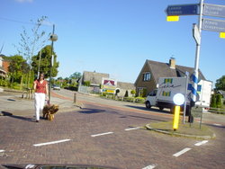 DSC00907.JPG