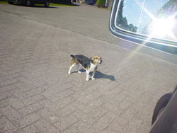 DSC00909.JPG