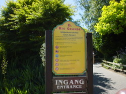 DSC00935.JPG