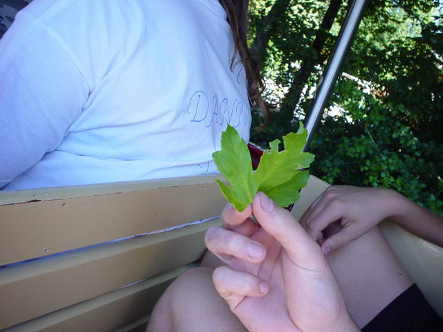 DSC00954.JPG