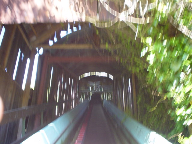DSC00967.JPG
