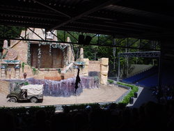 DSC00990.JPG