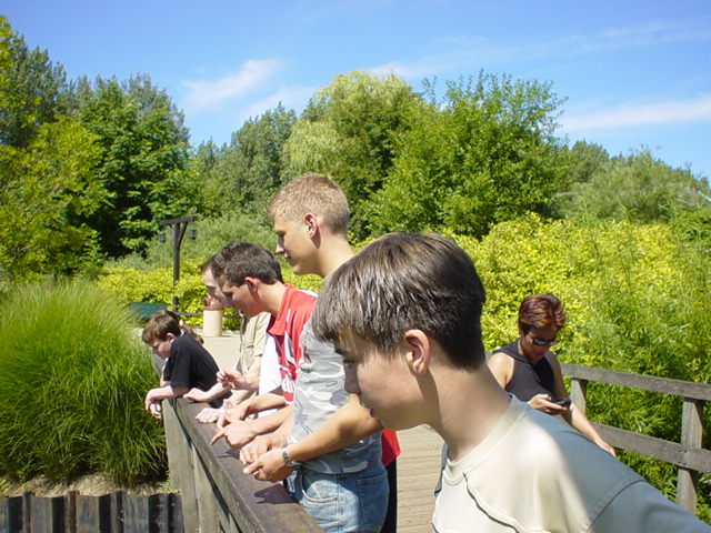 DSC00991.JPG