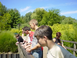 DSC00991.JPG