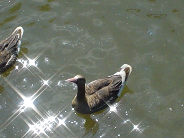 DSC00994.JPG