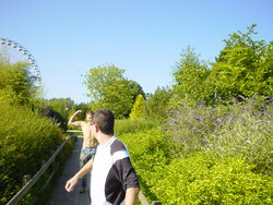 DSC01030.JPG