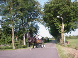 DSC01040.JPG