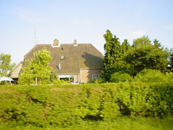 DSC01041.JPG