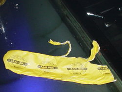 DSC00566.JPG