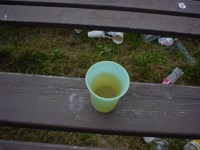 DSC05932.JPG