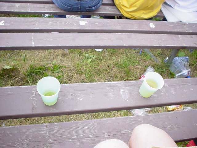 DSC05936.JPG