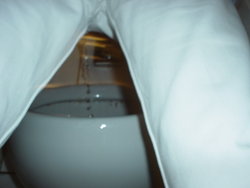 DSC05705.JPG