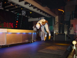 DSC04550.JPG