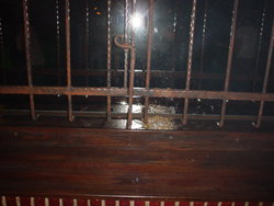 DSC04583.JPG
