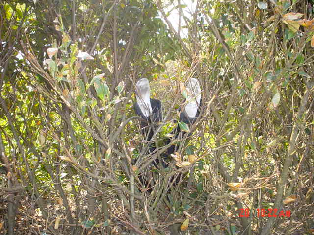 DSC01219.JPG