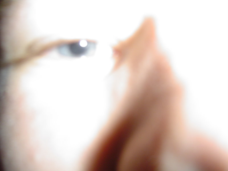 DSC05954.JPG
