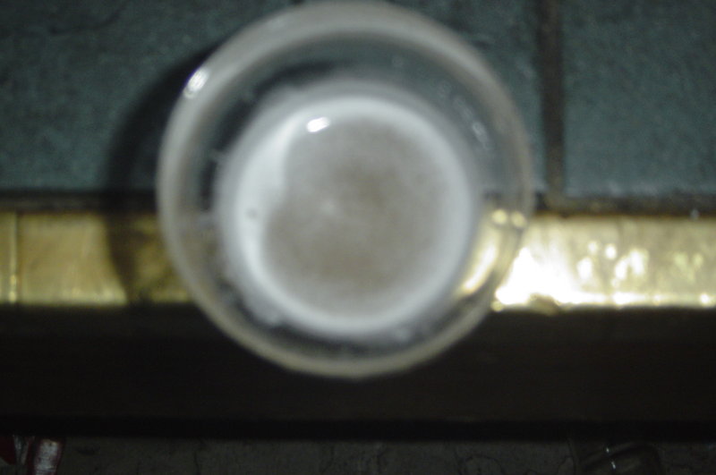 DSC05470.JPG