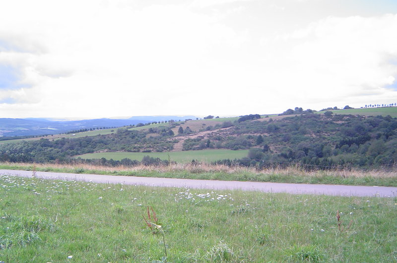 DSC00051.JPG