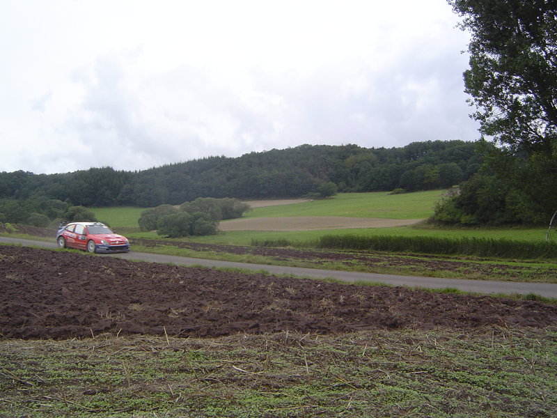 DSC05238.JPG