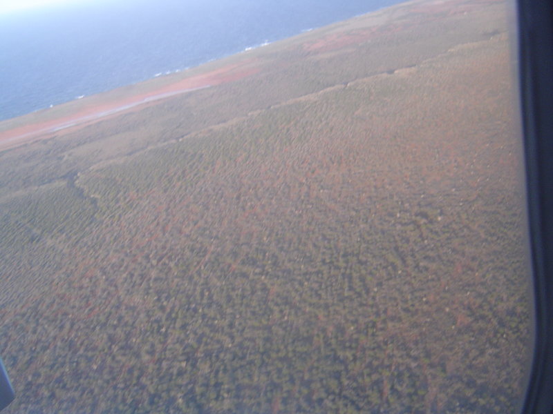 DSC01925.JPG