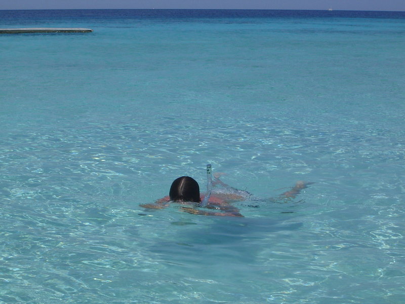DSC01962.JPG