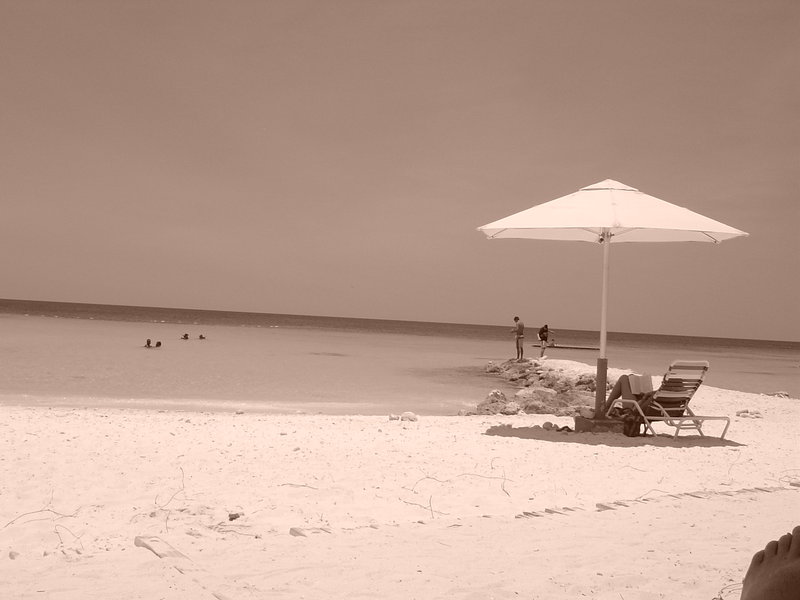 DSC01968.JPG
