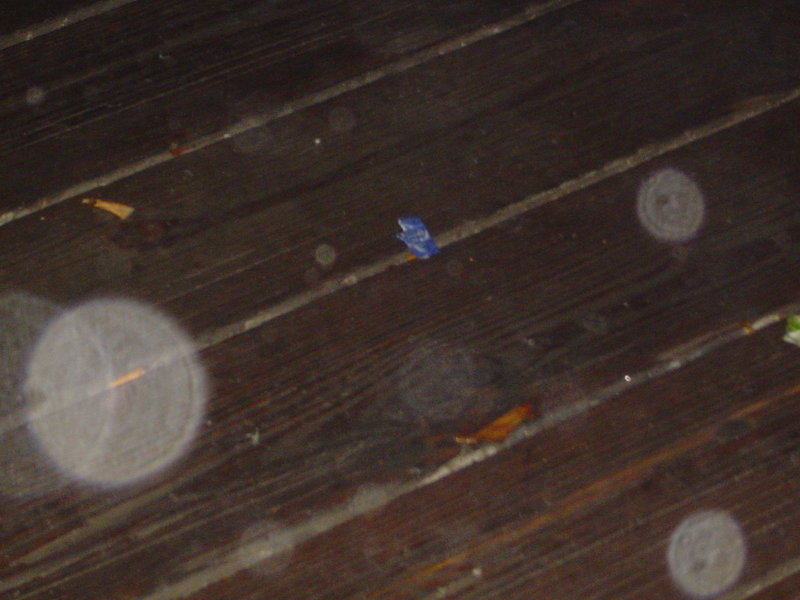 DSC02176.JPG