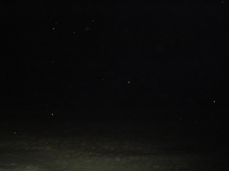 DSC02193.JPG
