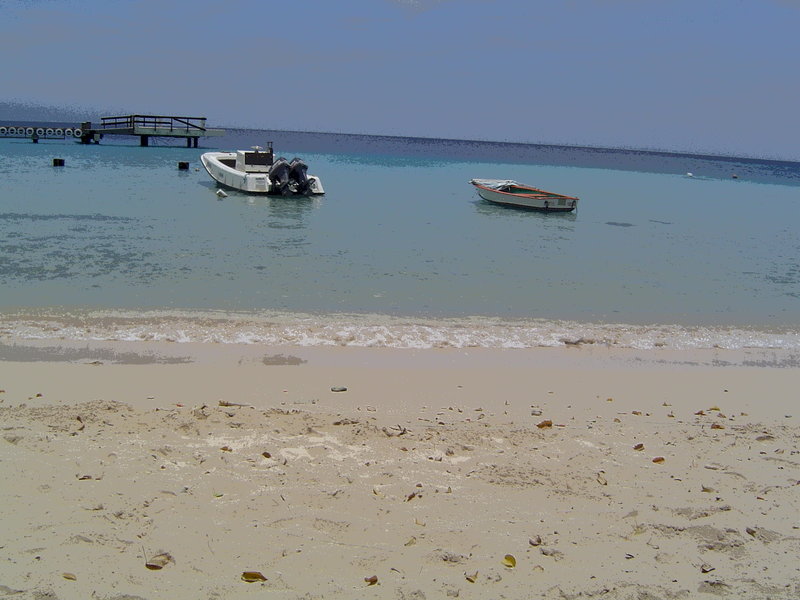 DSC02254.JPG