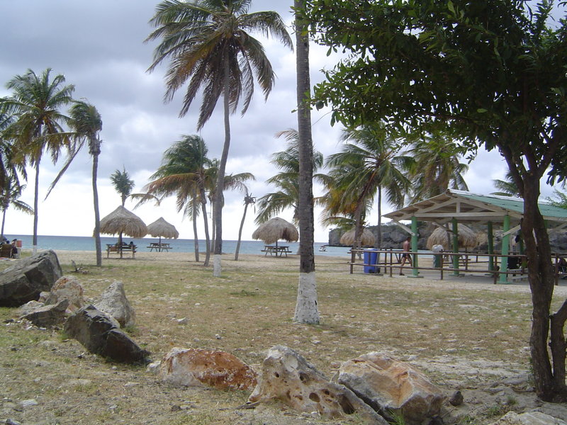 DSC02222.JPG