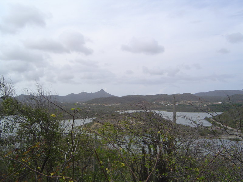 DSC02224.JPG
