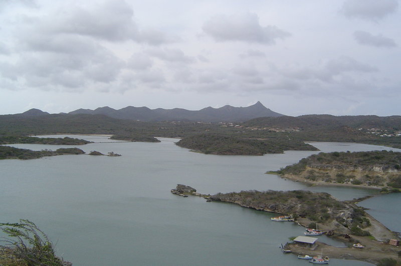 DSC02226.JPG