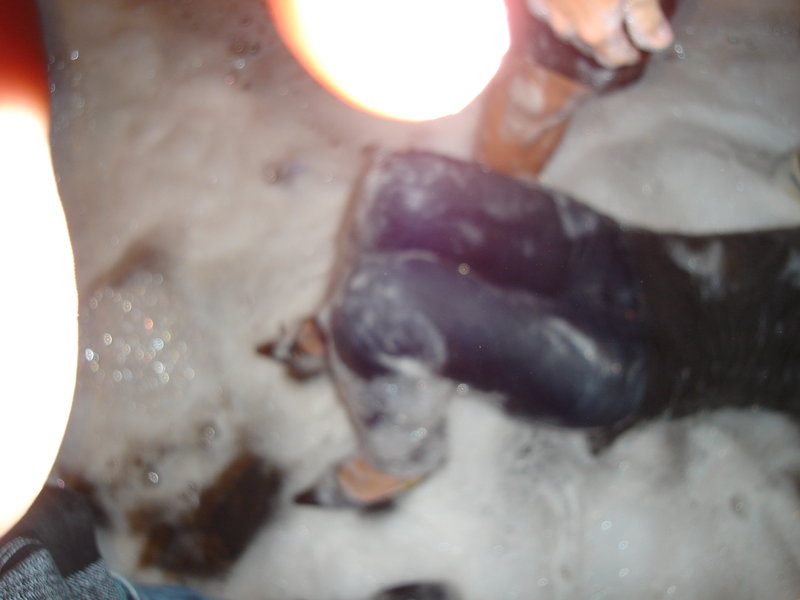 DSC00402