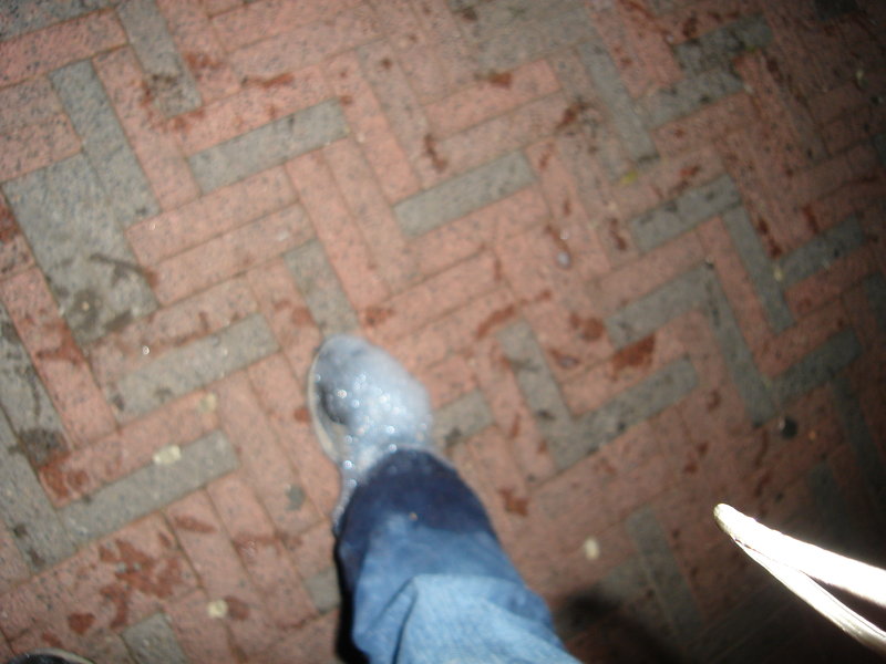DSC00422
