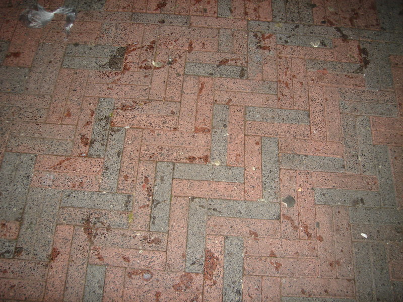 DSC00423