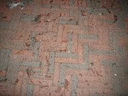 DSC00423