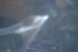 DSC00469