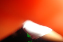 DSC00513