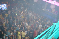 DSC00520