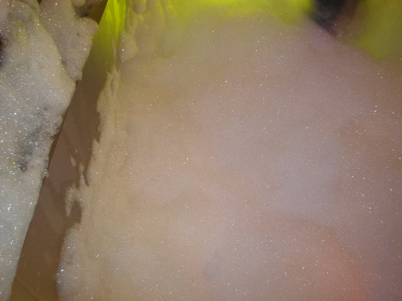 DSC00640