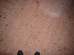 DSC00734