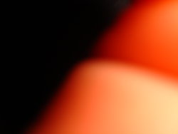 DSC01104