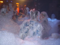 DSC06415.JPG