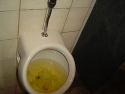 DSC05880.JPG