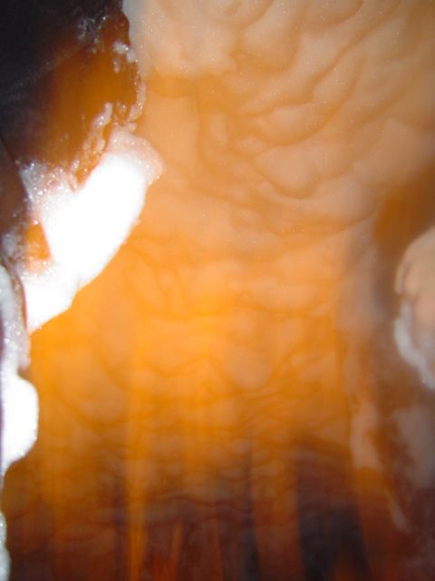 DSC06029.JPG